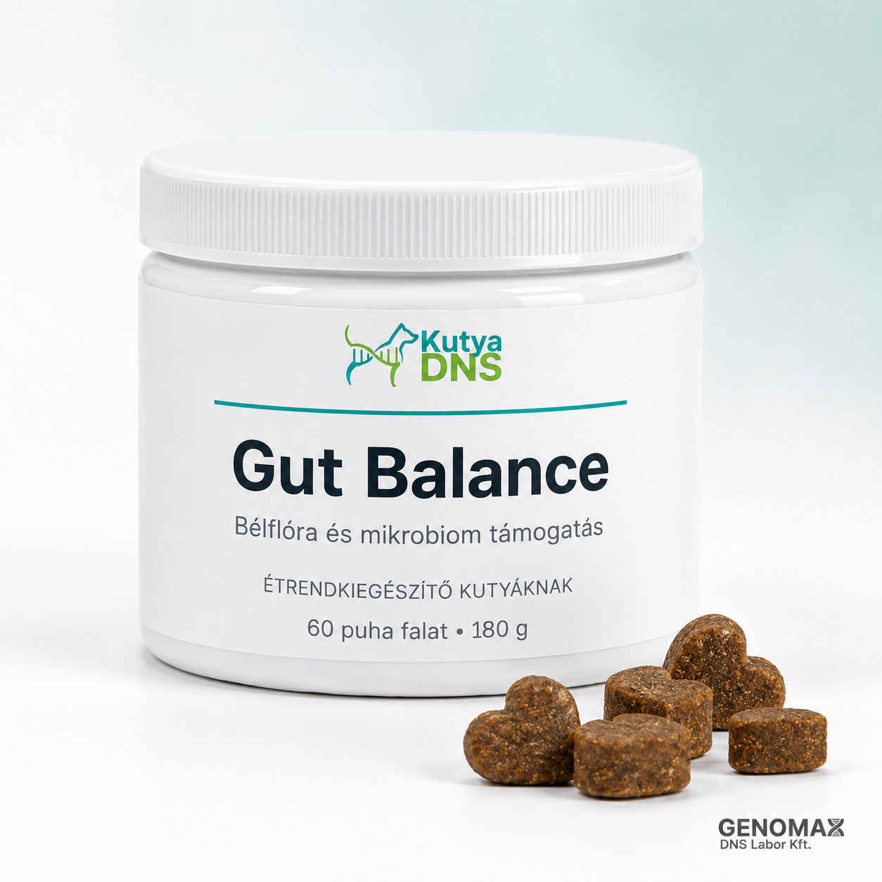 Gut Balance