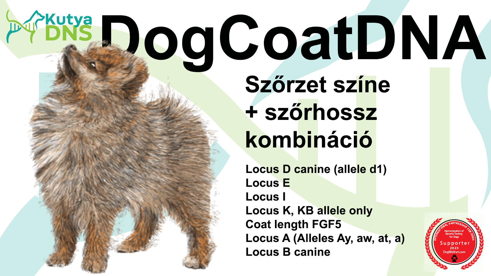 DogCoatDNA